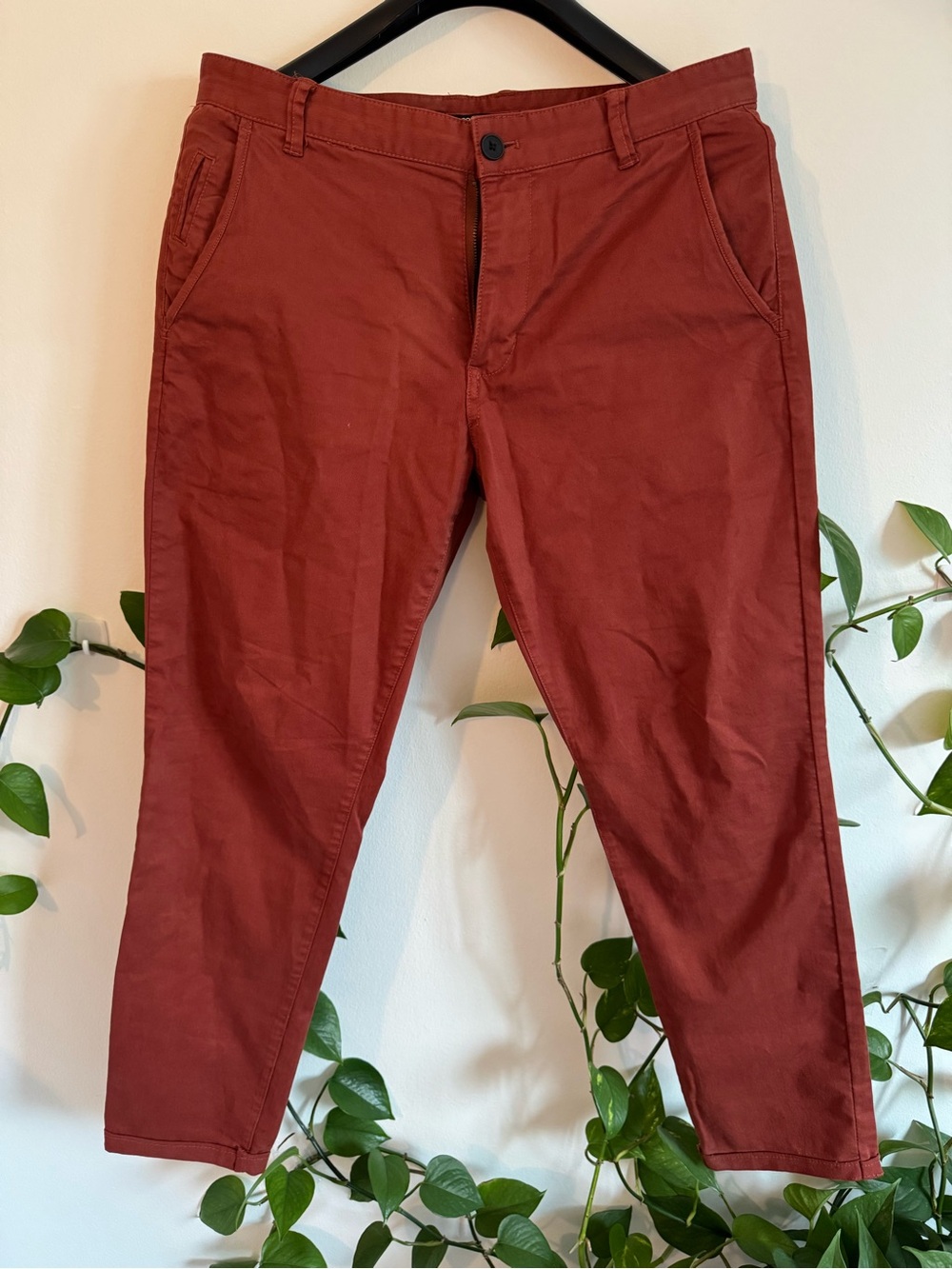 Men's Rust Red Slim Chino Pants